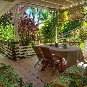 Papay Dans Fleurs Des Iles , Le Vauclin Martinique